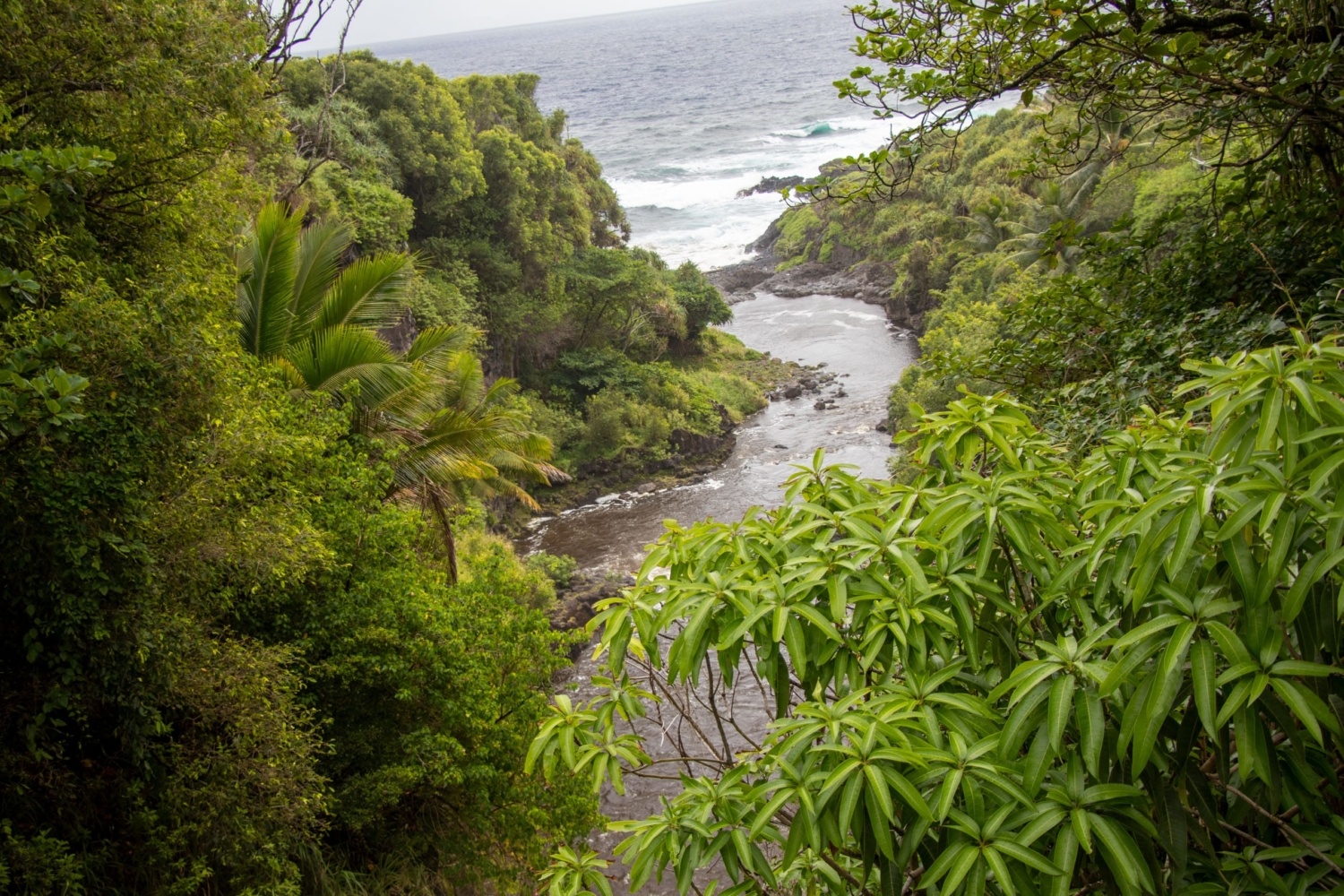 Kipahulu & Oheo Gulch Road To Hana Tours