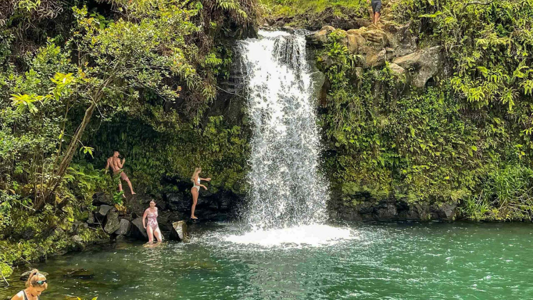Luxury Road To Hana Tour