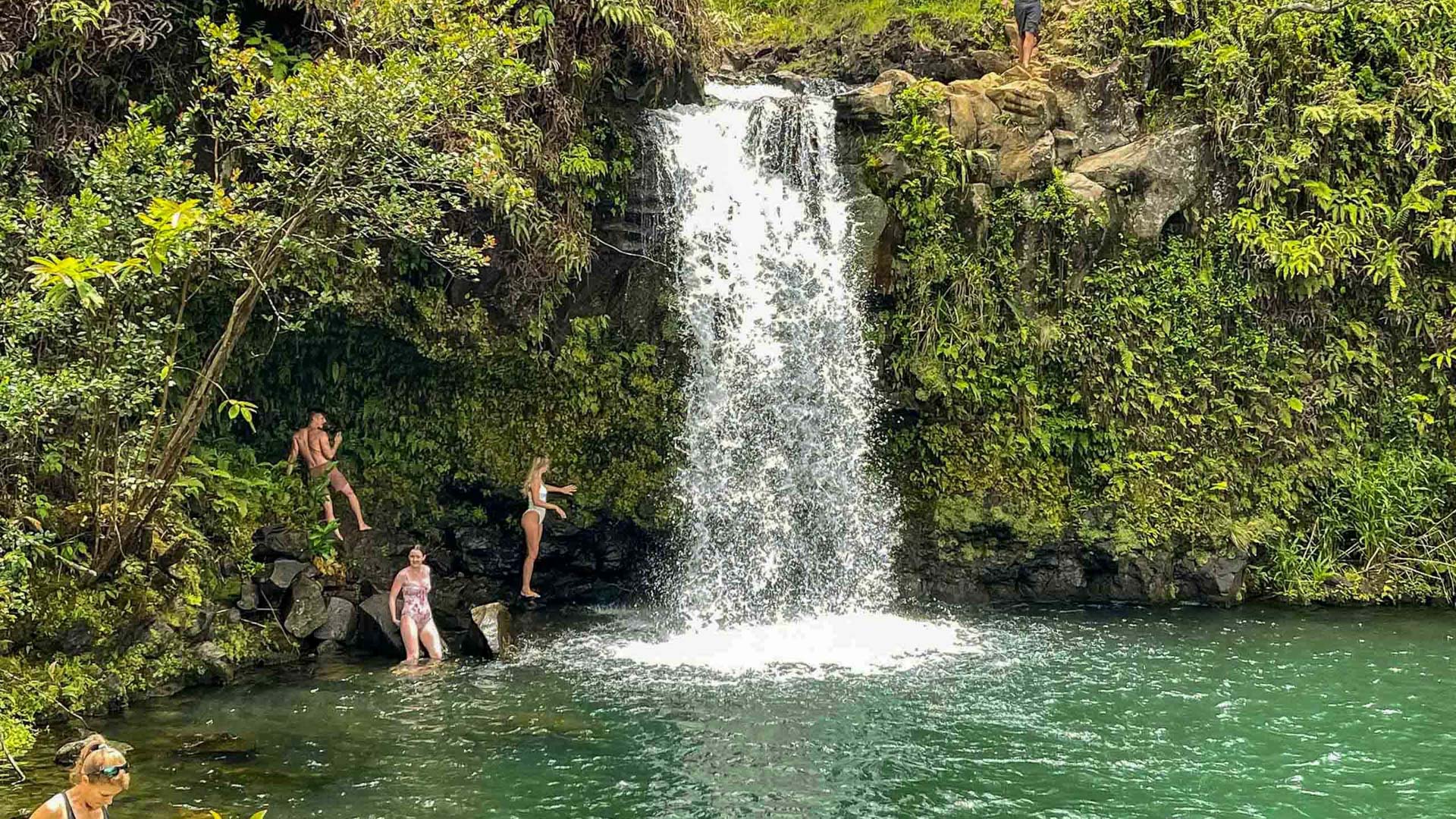 Luxury Road To Hana Tour | Road To Hana Excursions