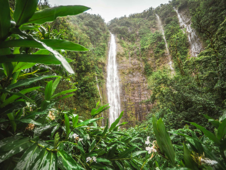 Pipiwai Trail Upper Waterfall Waimoku Falls Road to Hana Maui