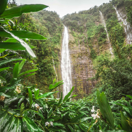 Pipiwai Trail Upper Waterfall Waimoku Falls Road to Hana Maui