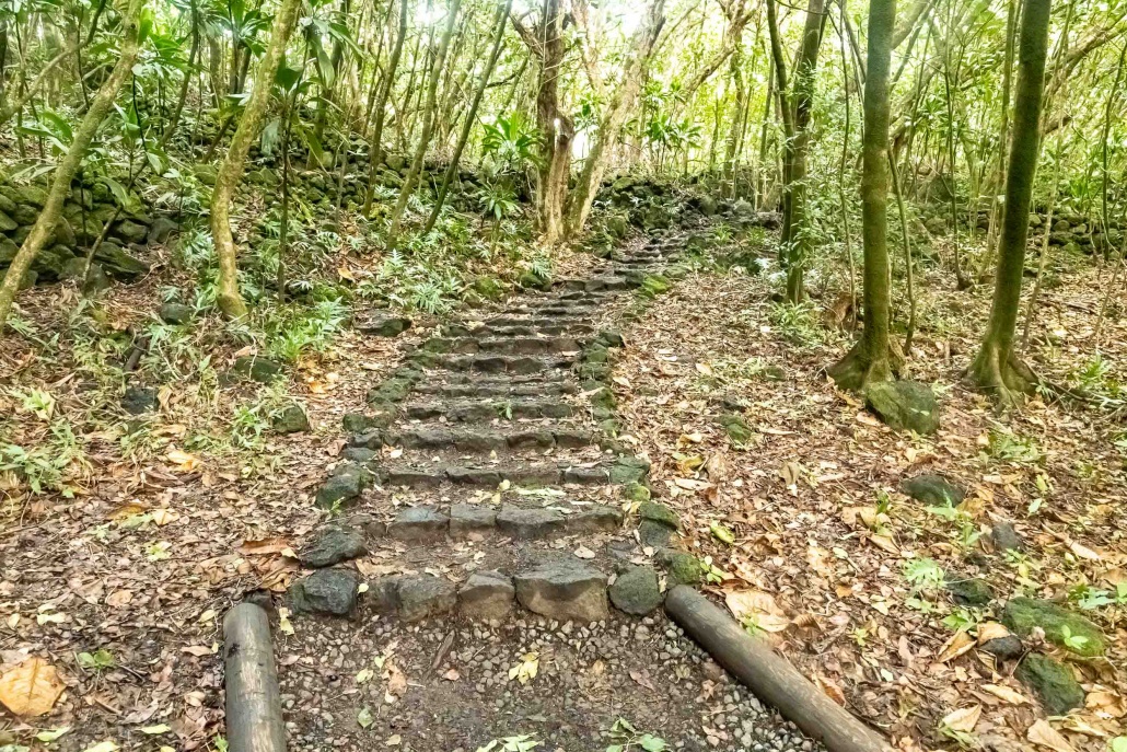 Pools of Oheo Pipiwai Trail Steps Kipahulu road to Hana Maui