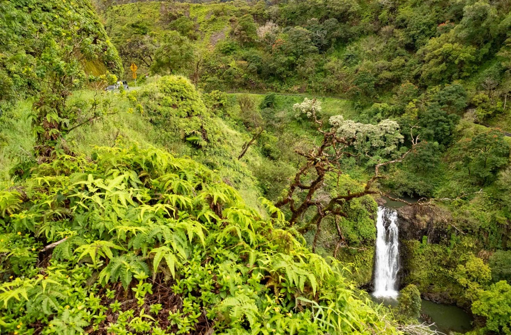 Road To Hana Gulch and Road Watefall Maui