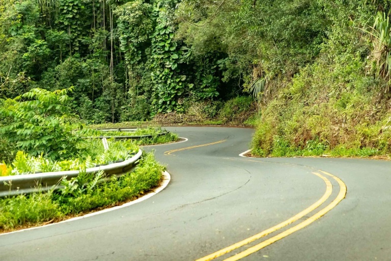 Road To Hana Twists and Turns Maui feature