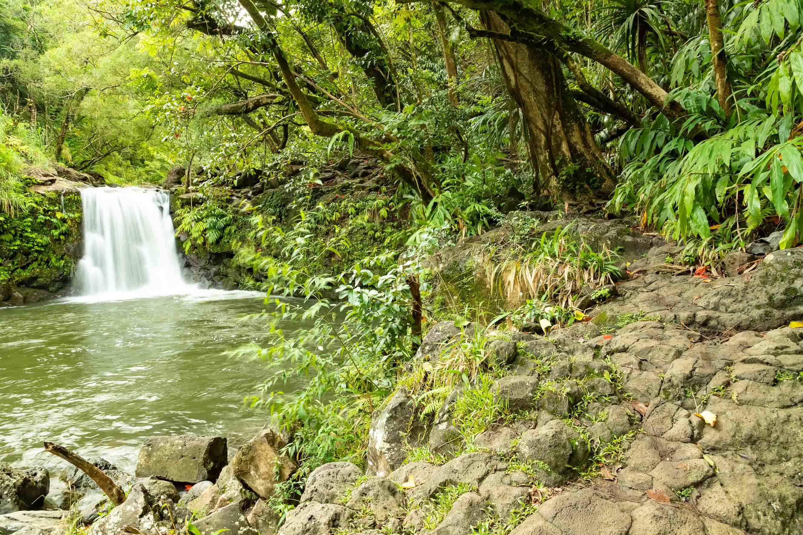 Road To Hana Watefall Hiking Trail Maui