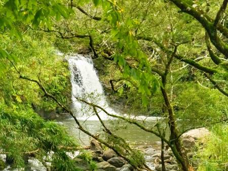 Road To Hana Watefall Hike Maui