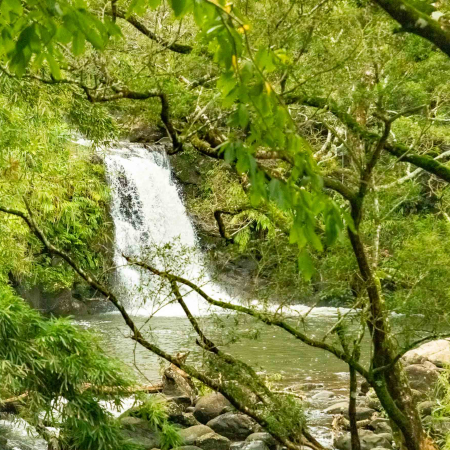 Road To Hana Watefall Hike Maui