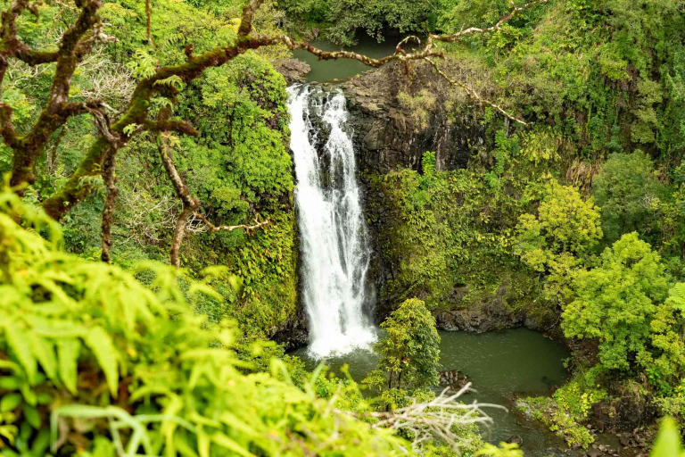 Road To Hana Watefall in Valley Maui 
