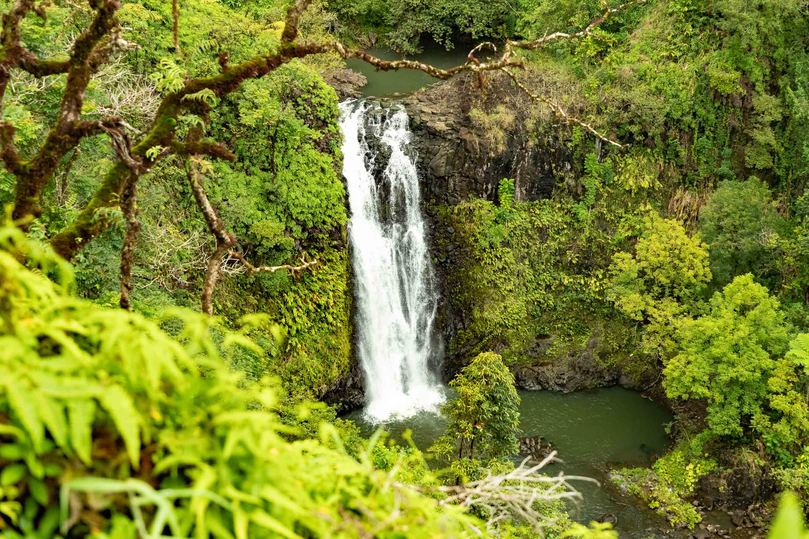 Road To Hana Watefall in Valley Maui