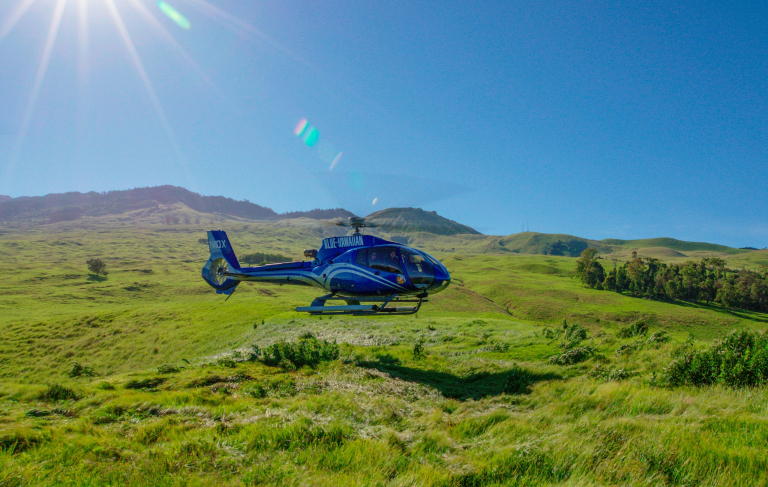 Maui Circle Island Helicopter With Landing