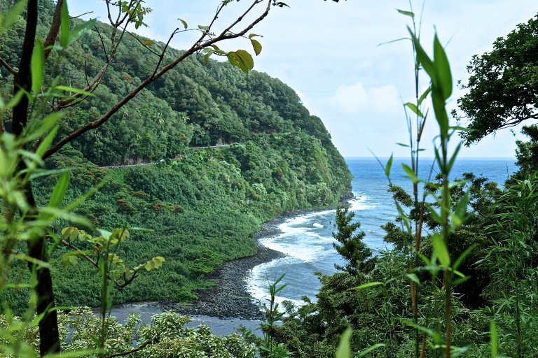 Temptation Tours Honomanu View Road to Hana