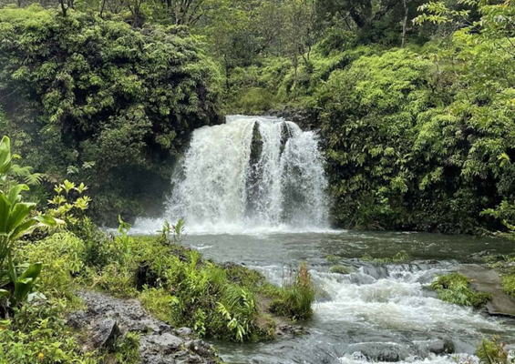 temptationtours road to hana helicopter tour waterfall in jungle 