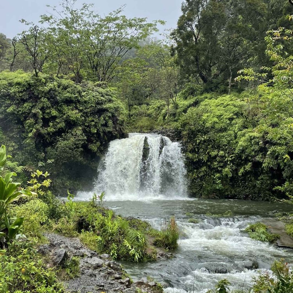 temptationtours road to hana helicopter tour waterfall in jungle