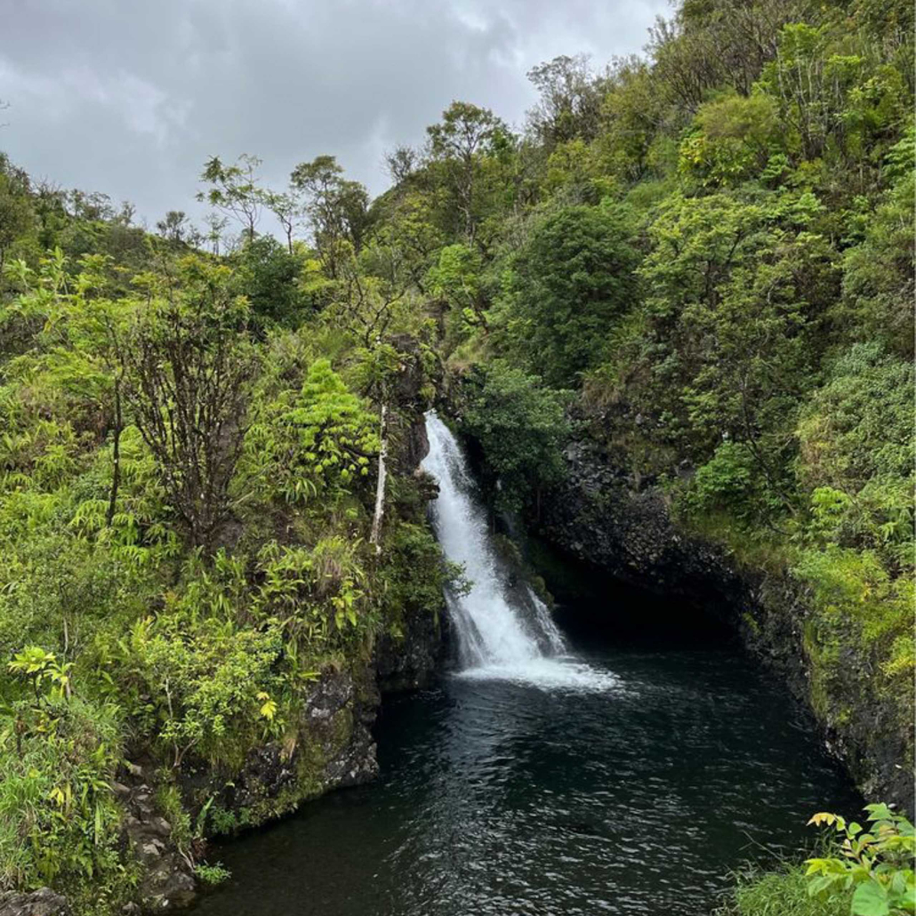 temptationtours road to hana helicopter tour waterfalls in jungle