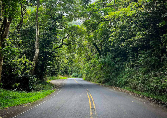tourmaui small group road to hana tour truly a heavenly road 