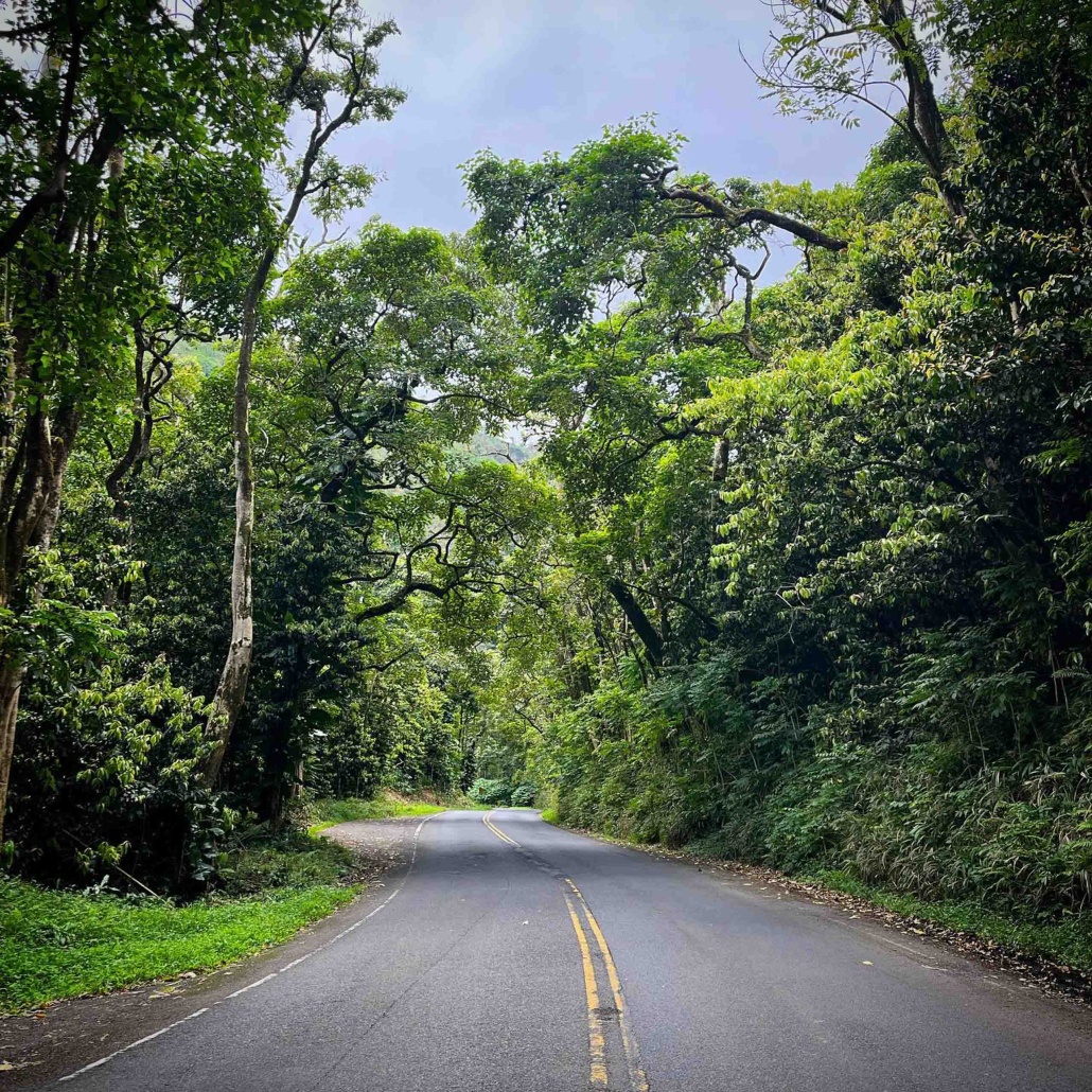 tourmaui small group road to hana tour truly a heavenly road