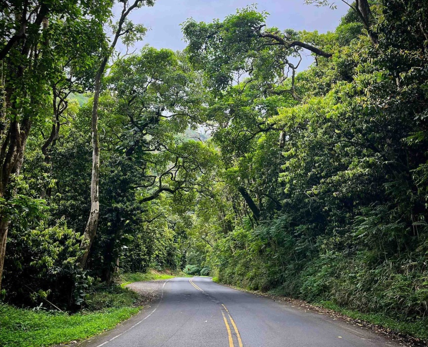 tourmaui small group road to hana tour truly a heavenly road