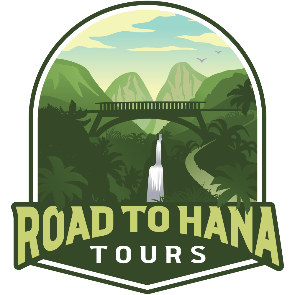 Small Group Road To Hana Tour Maui Circle Island Journey