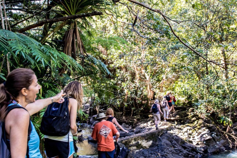hikemaui hana waterfalls hiking tour hiking