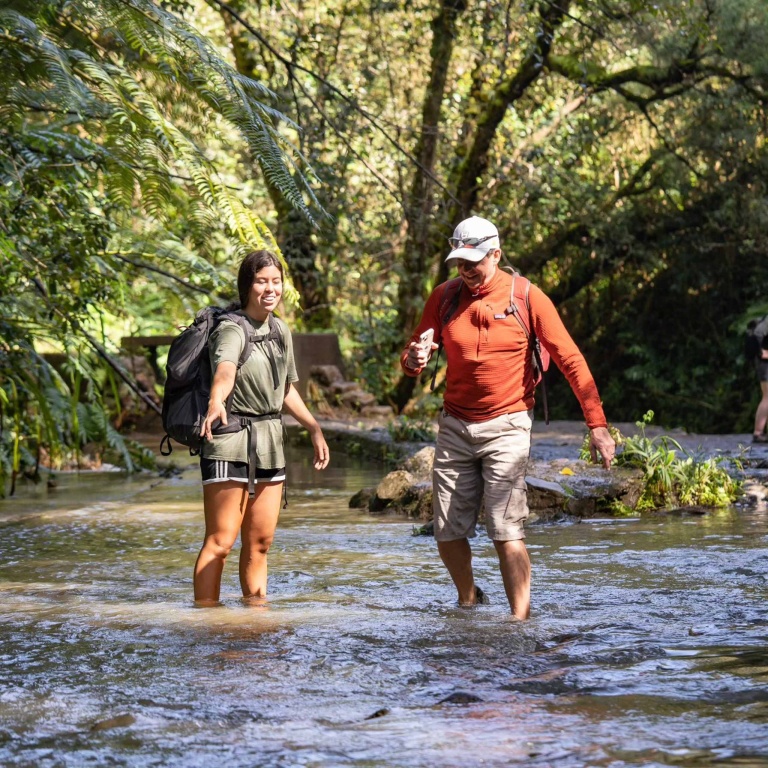 Hana Waterfalls And Hiking Tour