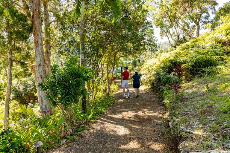 Garden of Eden Road to Hana Maui 