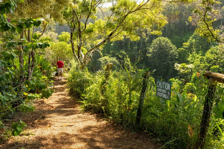 Garden of Eden Road to Hana Maui 