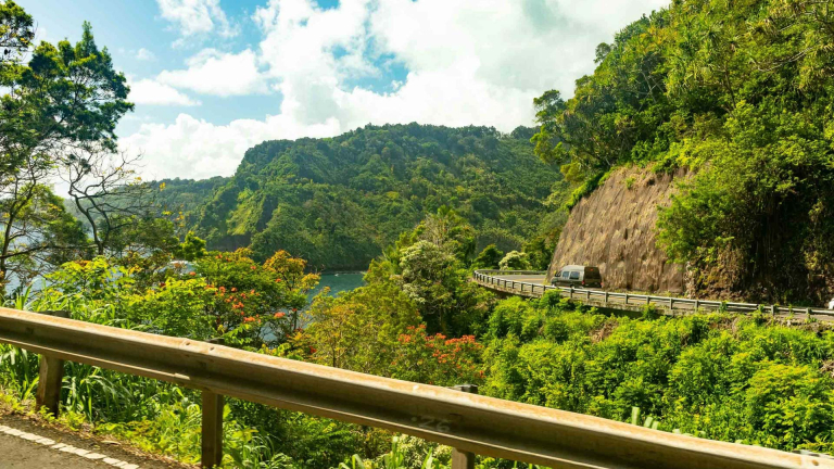 Private Road To Hana Tour