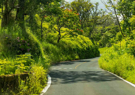 road to hana scenics maui  