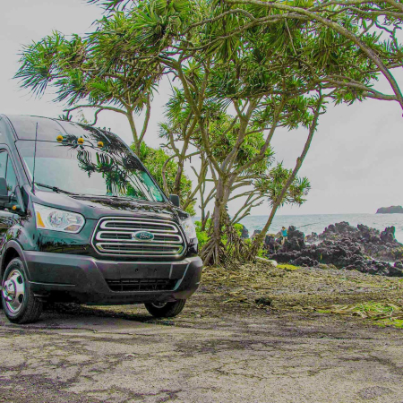 hawaiian style mini bus maui hawaii