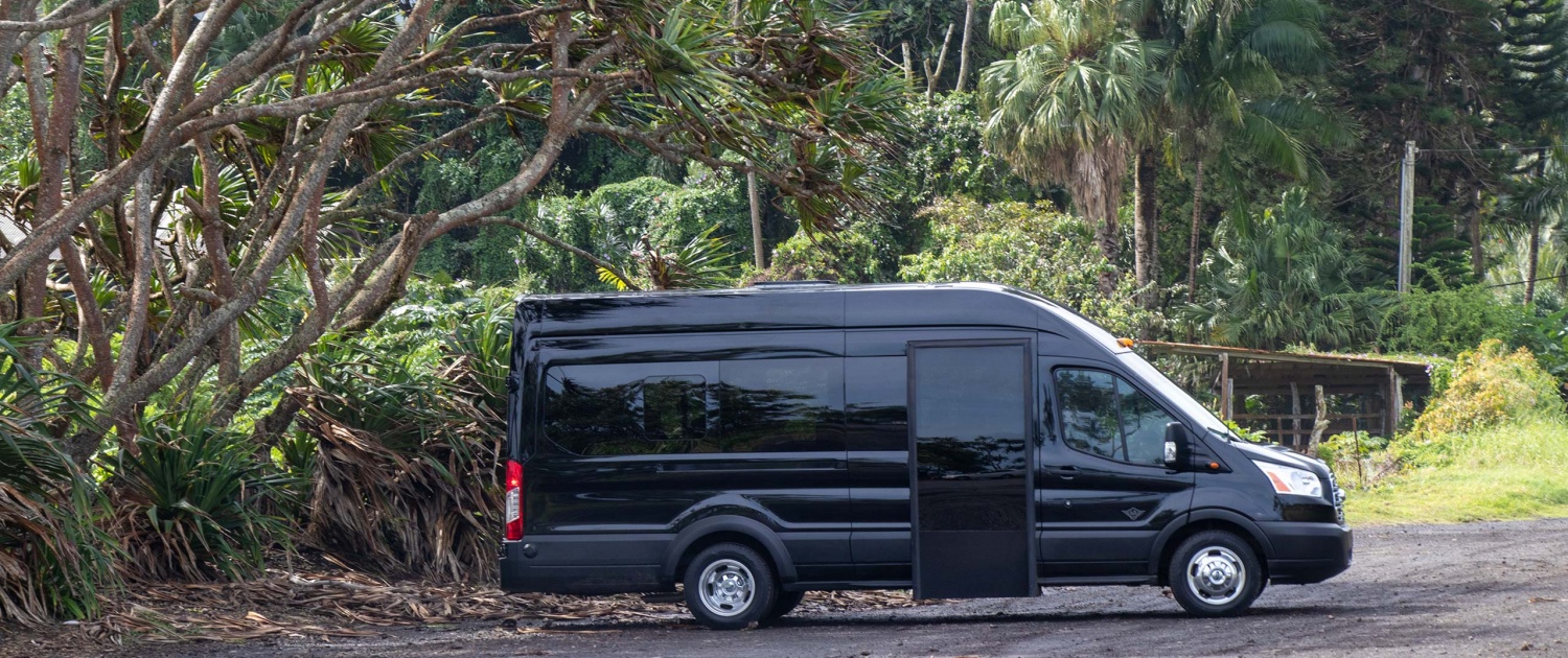 Hawaiian Style Mini Bus Under Tree