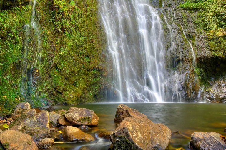 holoholomauitours guests waterfall