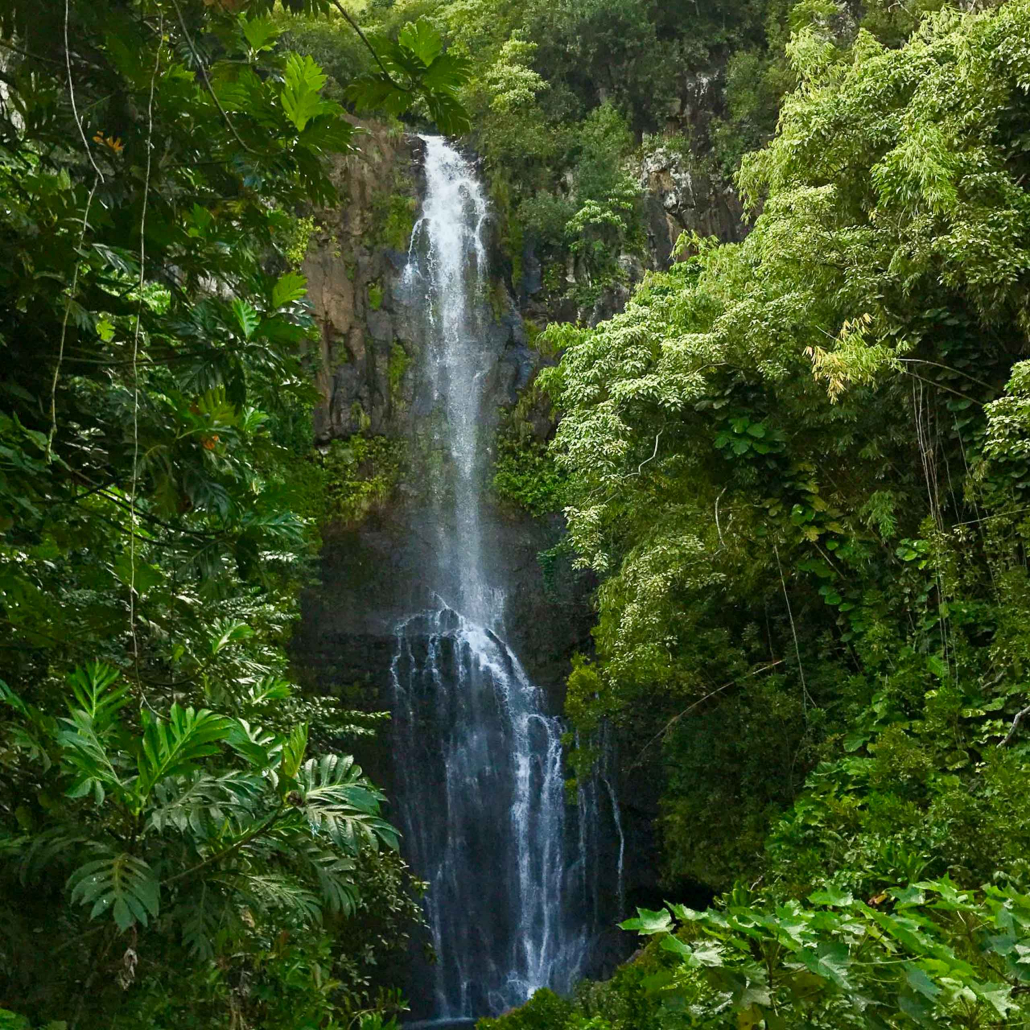 holoholomauitours waterfall in forest