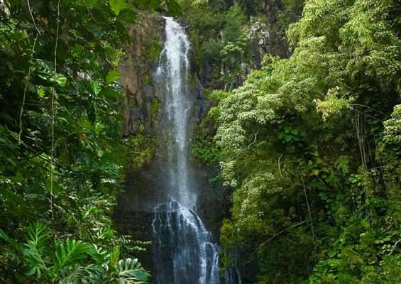 holoholomauitours waterfall in forest slider