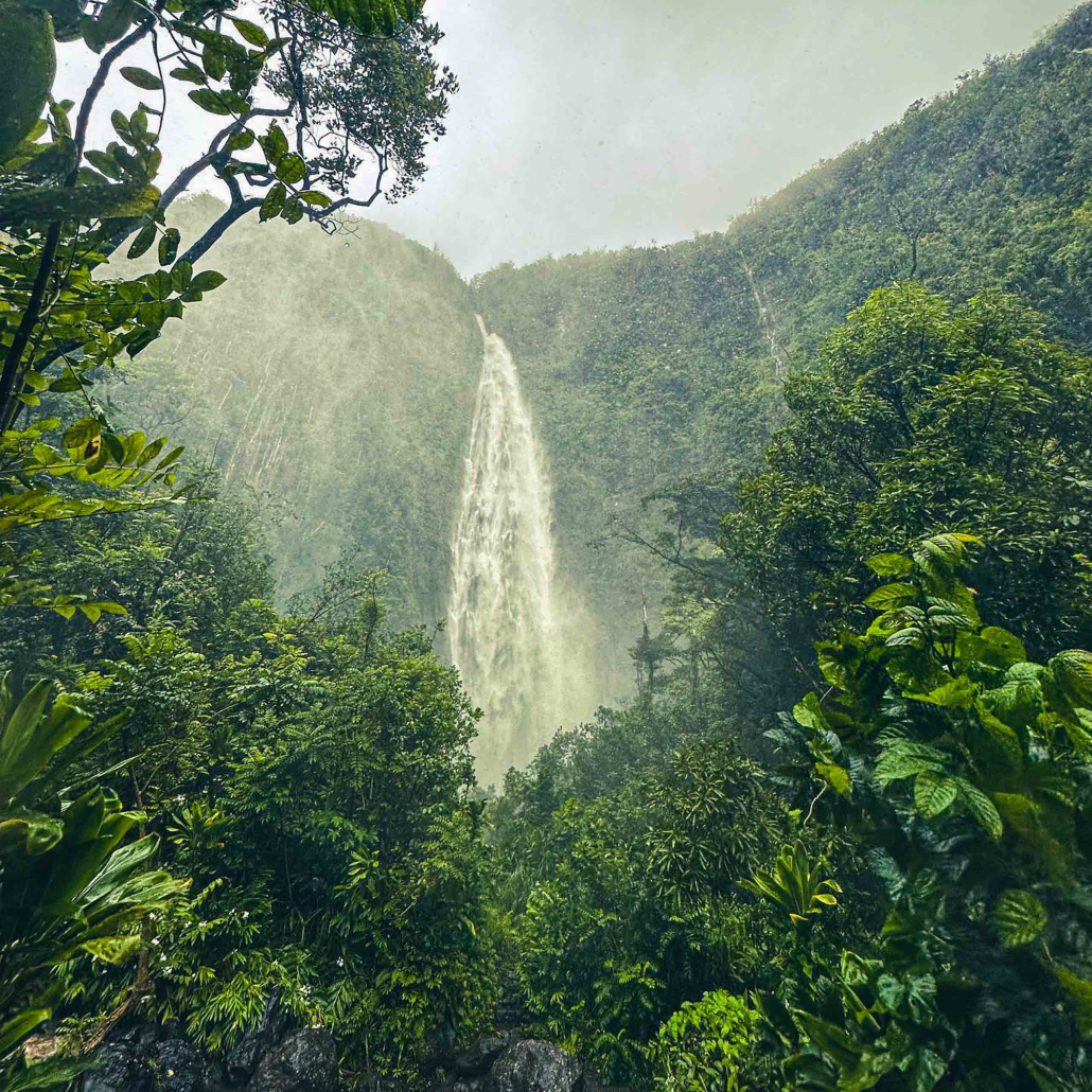 holoholomauitours waterfall in jungle