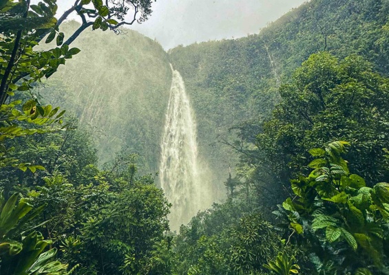 holoholomauitours waterfall in jungle slider