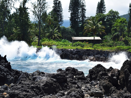 Hana Tours Of Maui Group Circle Island Hana Tour Balck Sand Beach