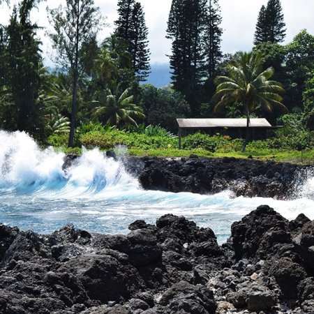 Hana Tours Of Maui Group Circle Island Hana Tour Balck Sand Beach