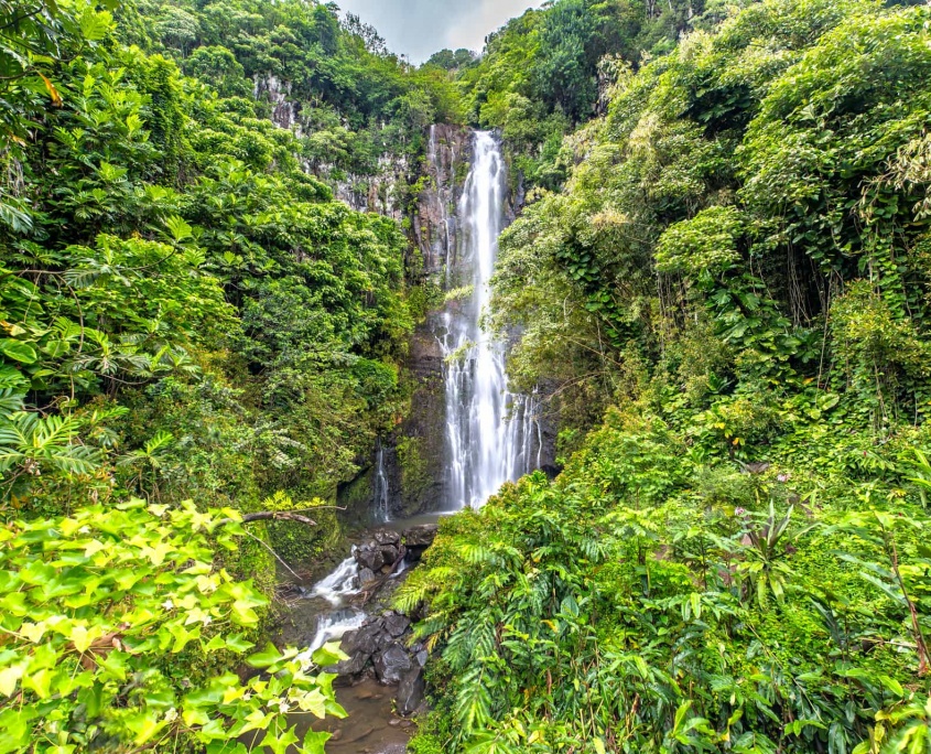 Holo Holo Maui Waterfall Wailua