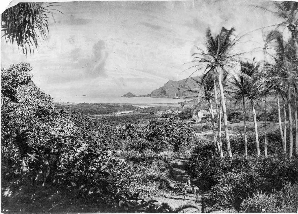 Hana Maui Hawaii State Archives PPWD