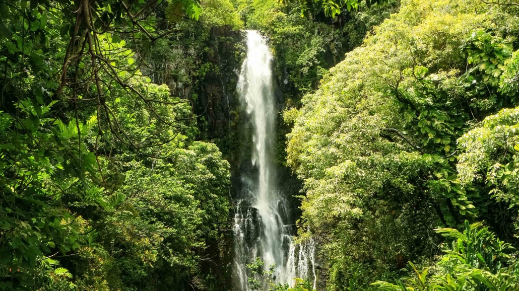 Beautiful Waterfall in east Maui Hana highway