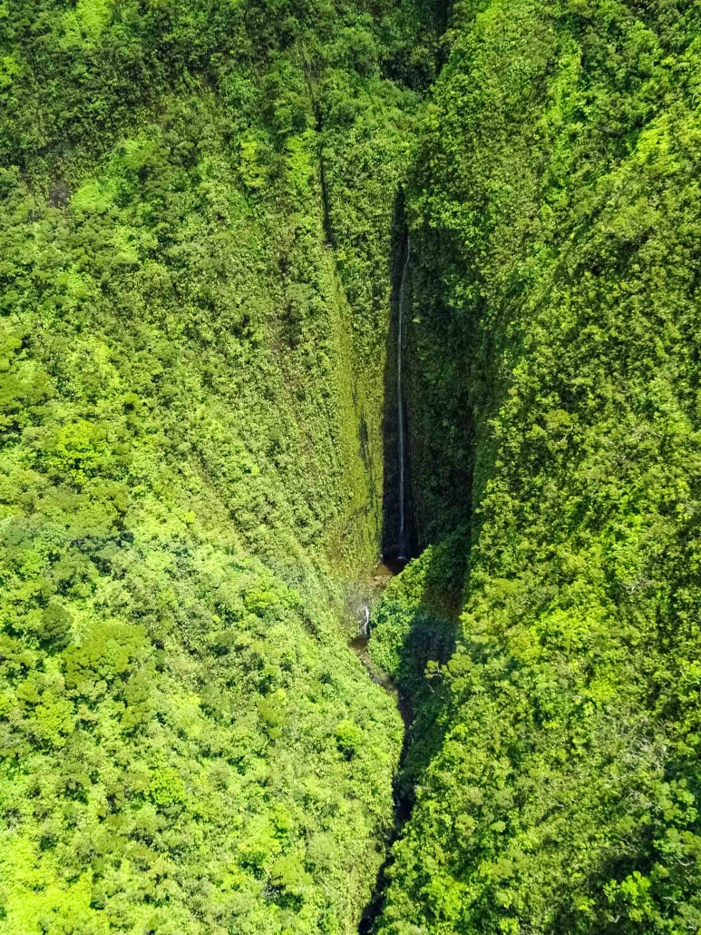 Aerial view of waterfall high in West Maui mountains