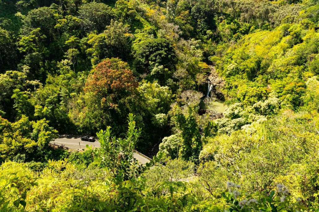 Road to Hana Scenics Maui 