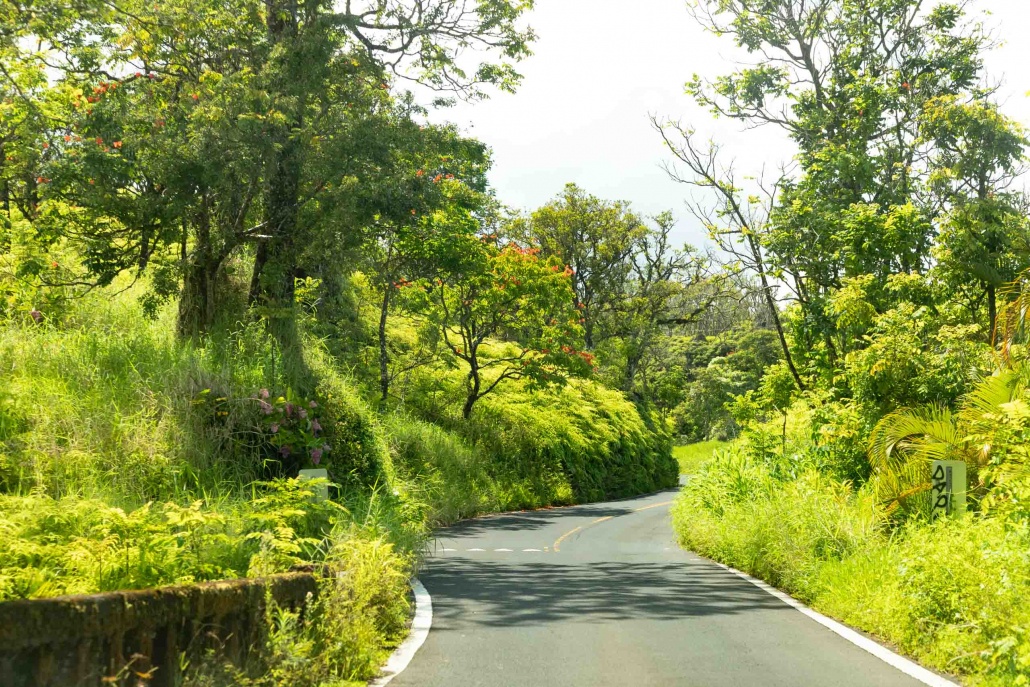 Road to Hana Scenics Maui