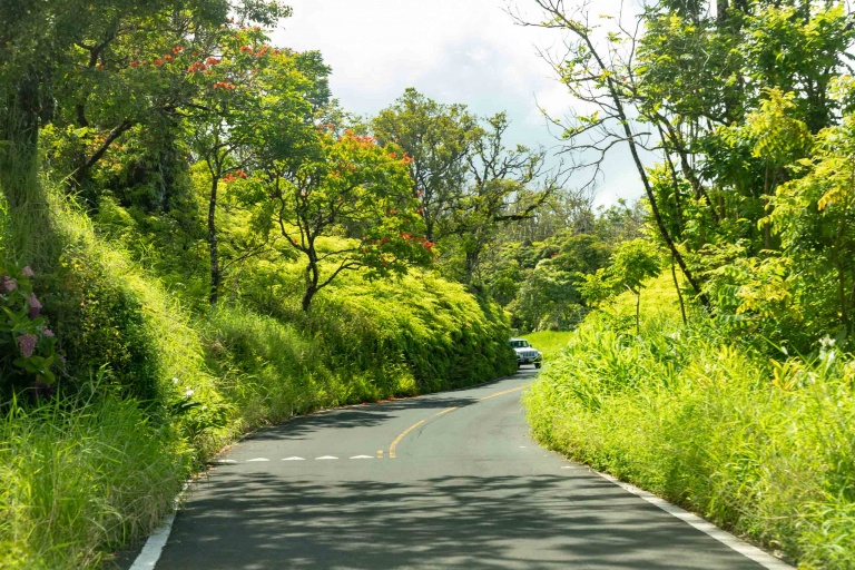 Road to Hana Scenics Maui 
