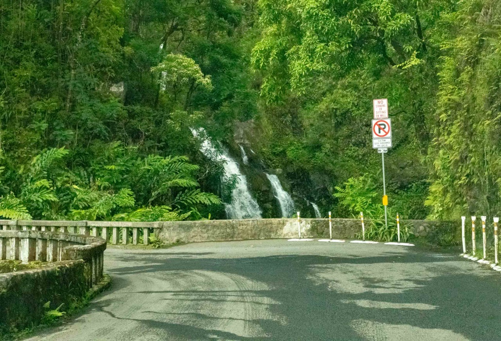 Road to Hana Scenics Maui