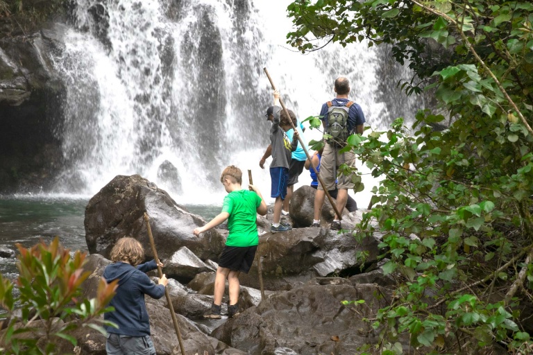 a family friendly activity road to hana maui