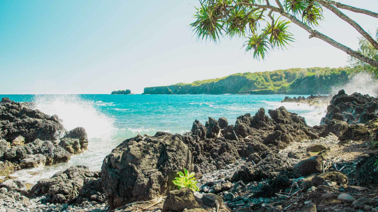 Road to Hana Maui Day Tour from Oahu