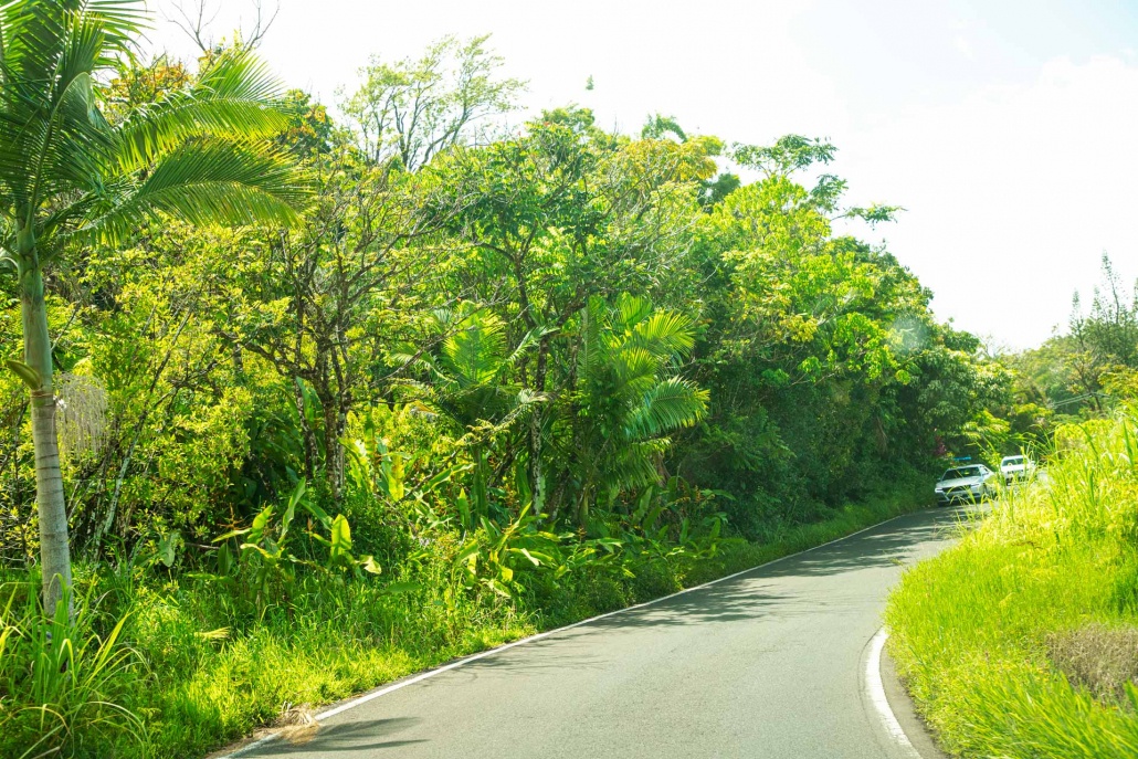 driving the road to hana tour maui