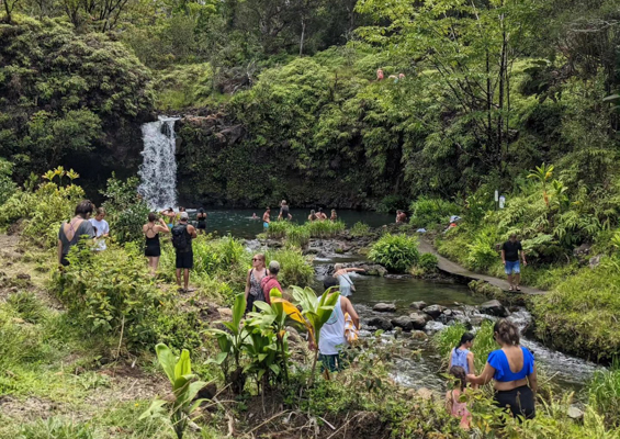 hawaiianstyle road to hana exclusive waterfall slide guest