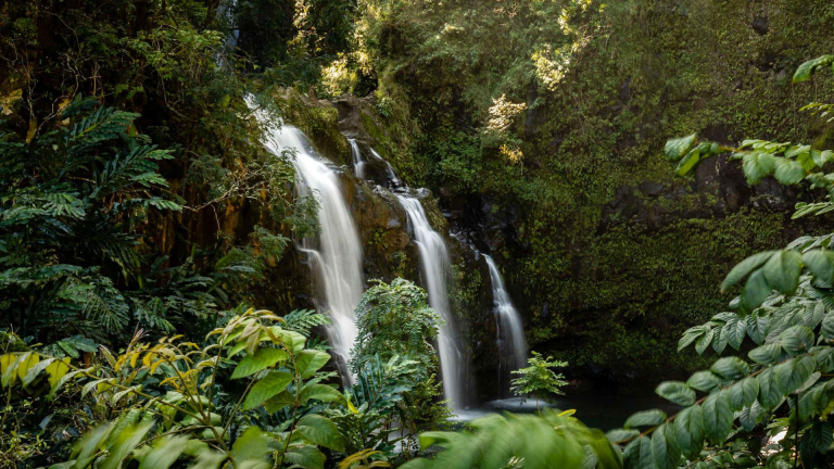 Exclusive Road to Hana Waterfall Pool Hike